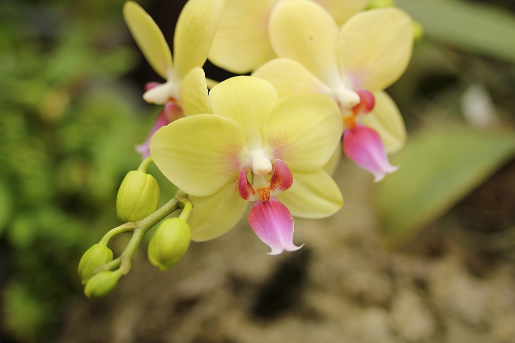 大阪　試し撮り060