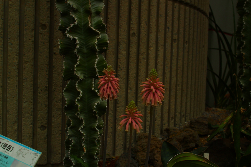 大阪　試し撮り019