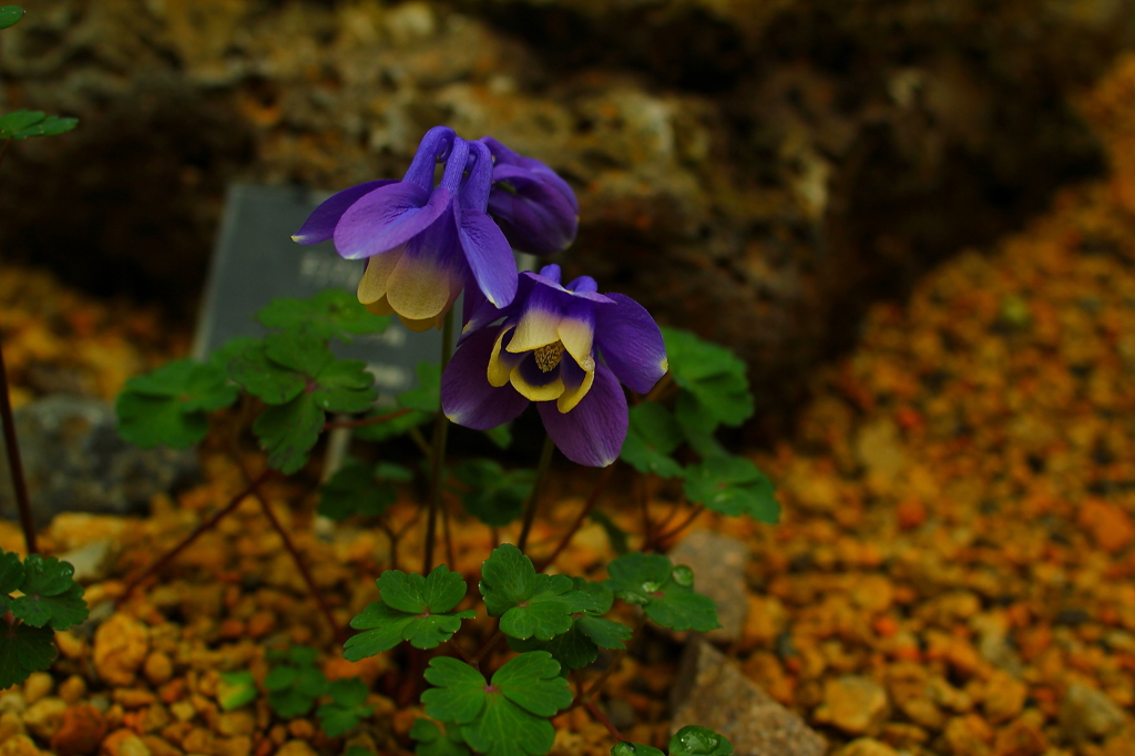 大阪　試し撮り011