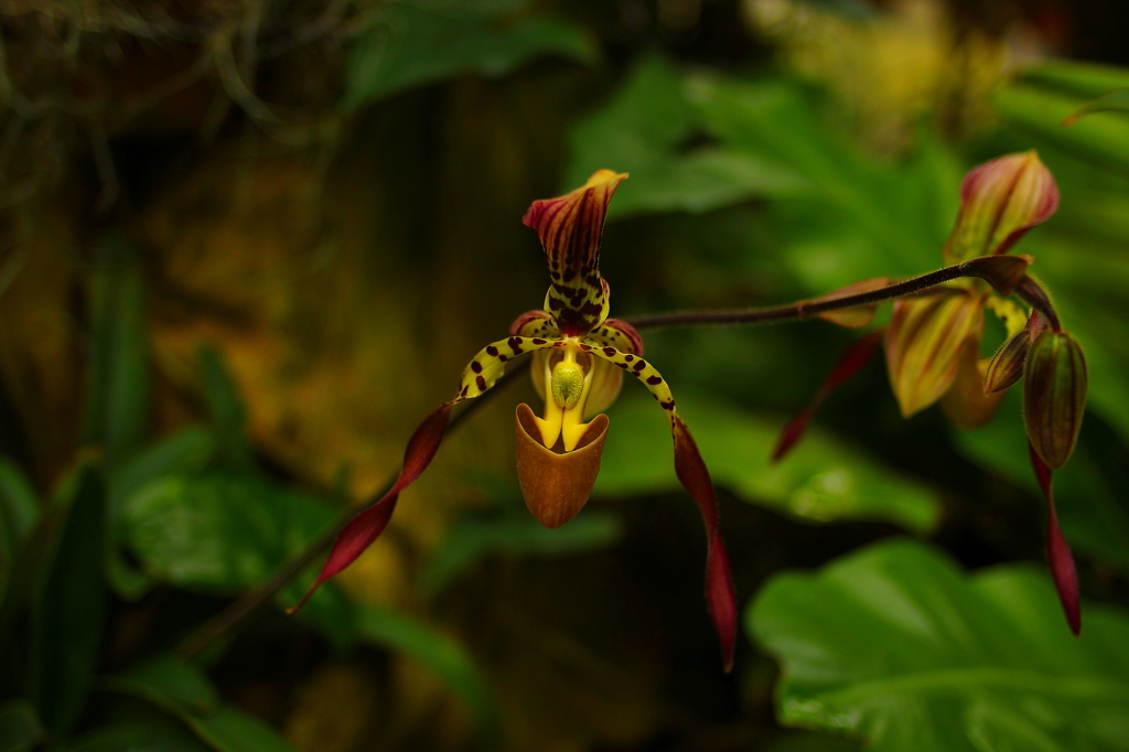 大阪　試し撮り052