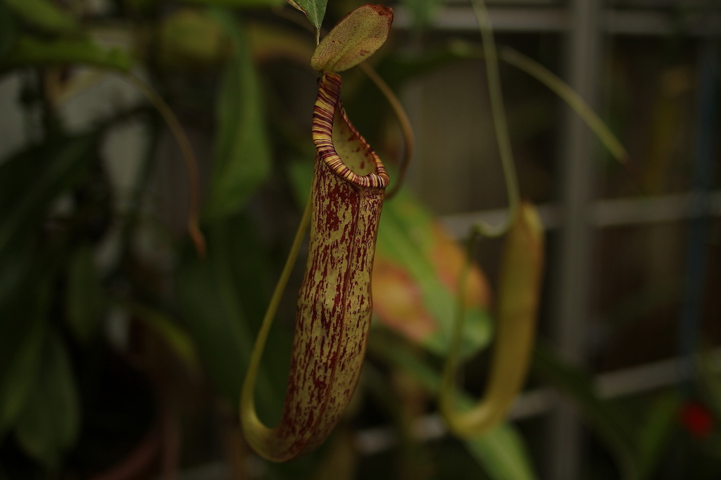 大阪　試し撮り050