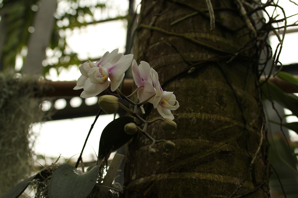 大阪　試し撮り062
