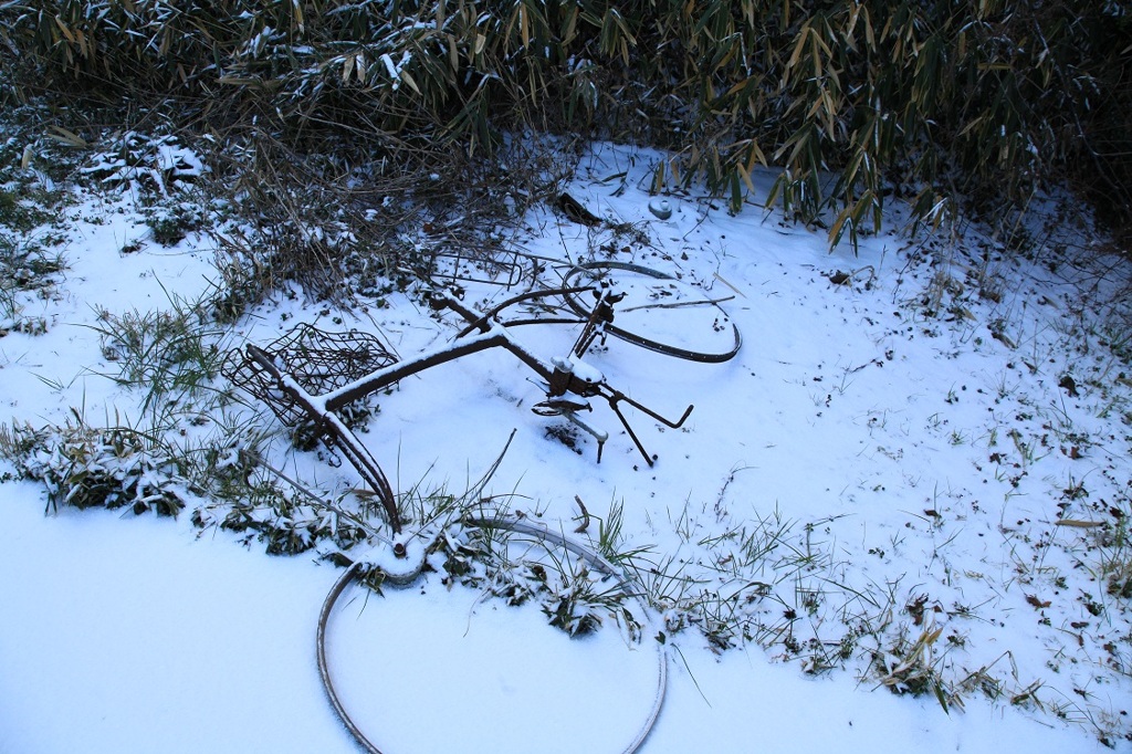 不法投棄