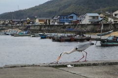食事中
