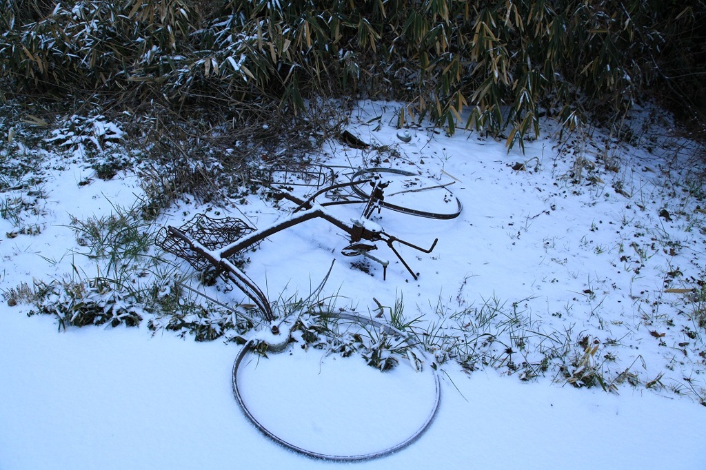 八年ぶりの積雪