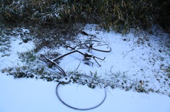 八年ぶりの積雪