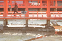 宮島の人々　＃５