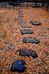 三渓園　秋　2011　0005