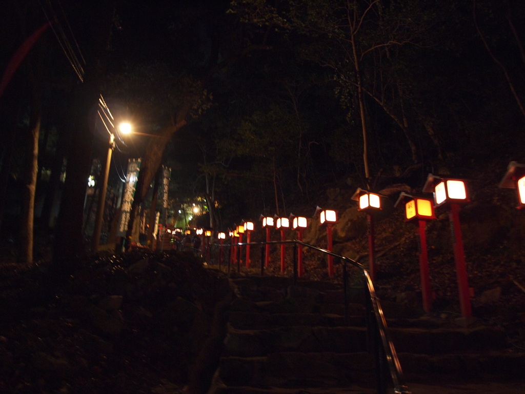 登りましょう