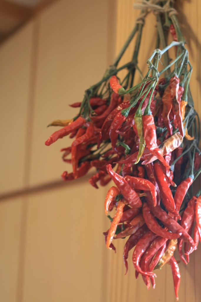 Red pepper