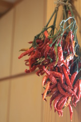 Red pepper