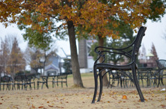 Ｃ：Which chair is good?