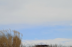 雪雲