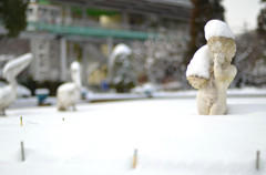 冬季限定「このボケ」