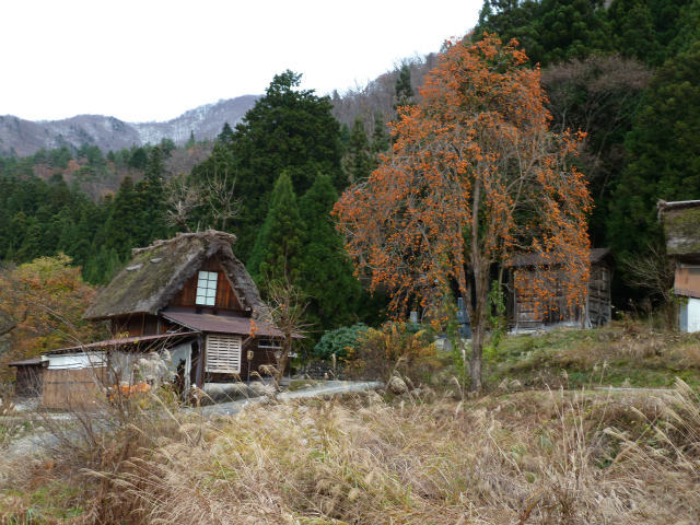 山村の秋