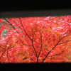 続　垣間みる永源寺の紅葉