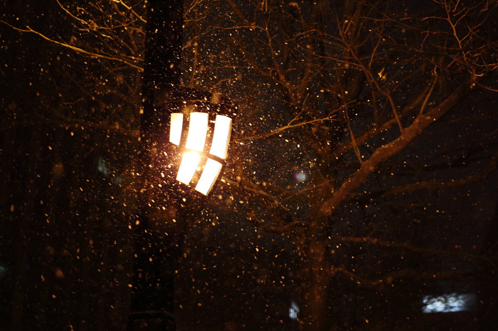 夜の雪