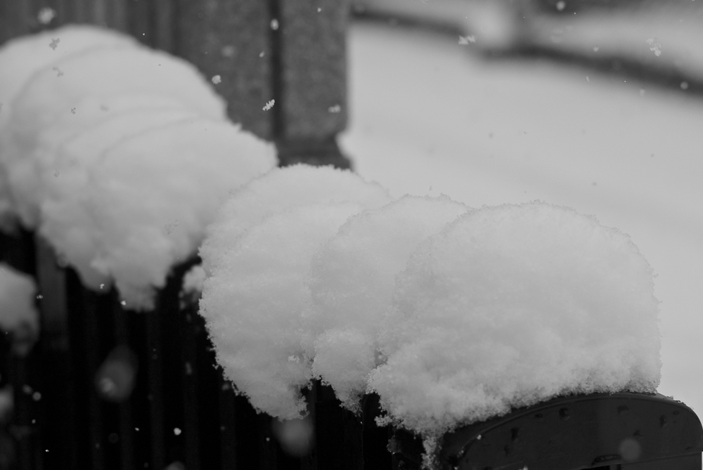 雪の門