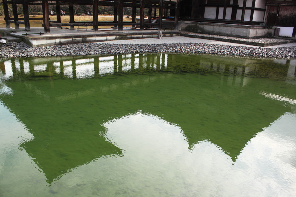 平等院鳳凰堂の池