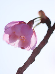 季節は巡る