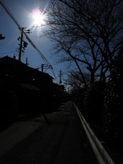 冬未だ去らず2012