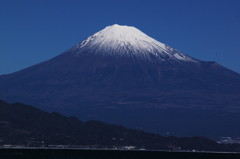 年賀状候補その1