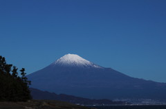 年賀状候補その3