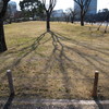 弱い日差し
