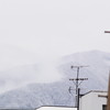山に雪が！