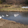 ウチの裏の川、ちょっと下流