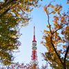 枯れ行く塔