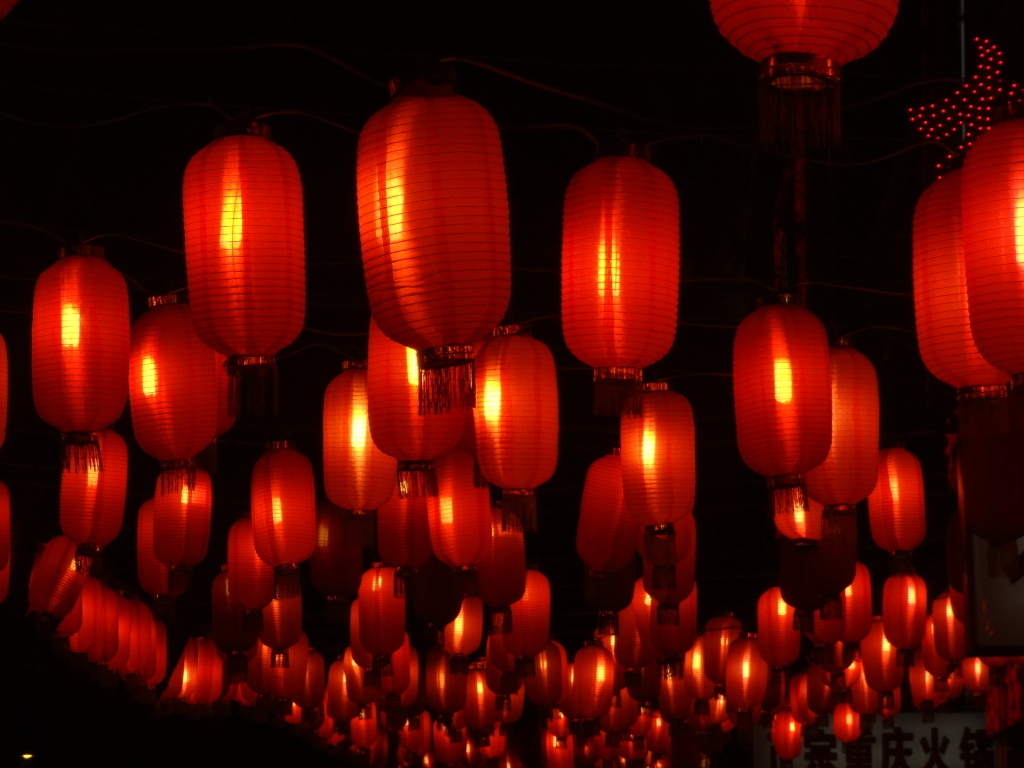 DSC00790