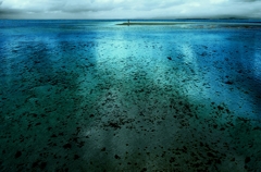 竹富島の水鏡