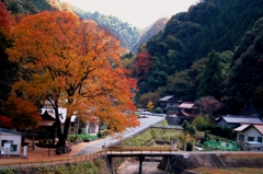 田舎の風景