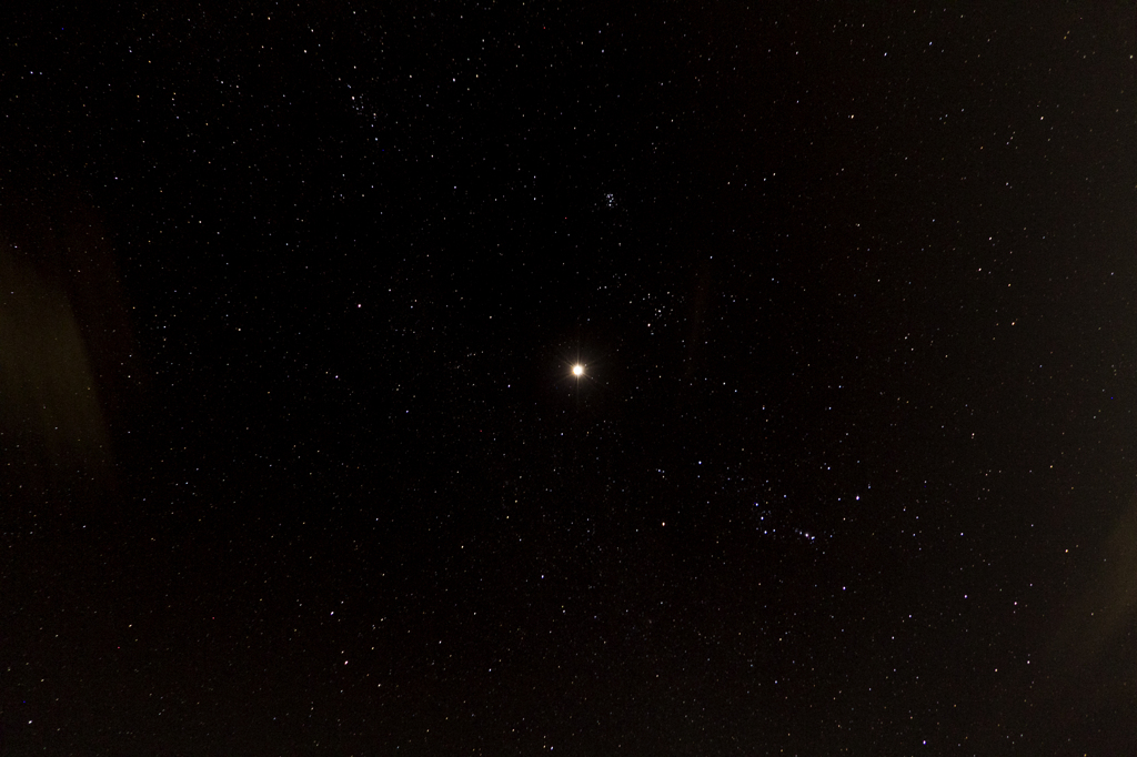 星だって！