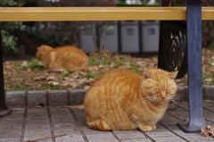 春は名のみの…