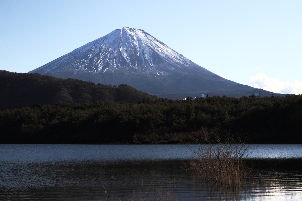 西湖から望む富士