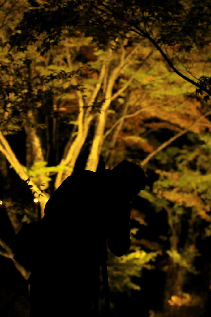 autumn-leaf hunter