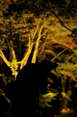 autumn-leaf hunter