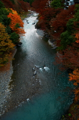 晩秋を流れる