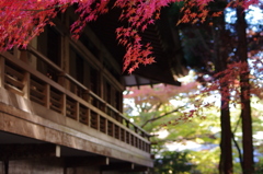 大原三千院、秋景色