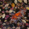 紅葉に秘める鯉