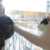 冬の光パンチ