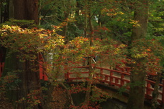 春日大社