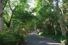 伊雑宮の参道