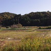 磯辺の田園