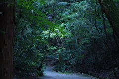 下宮の杜