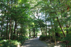 伊雑宮の参道