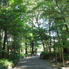 伊雑宮の参道