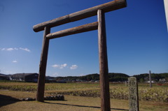 晴天の神宮御神田